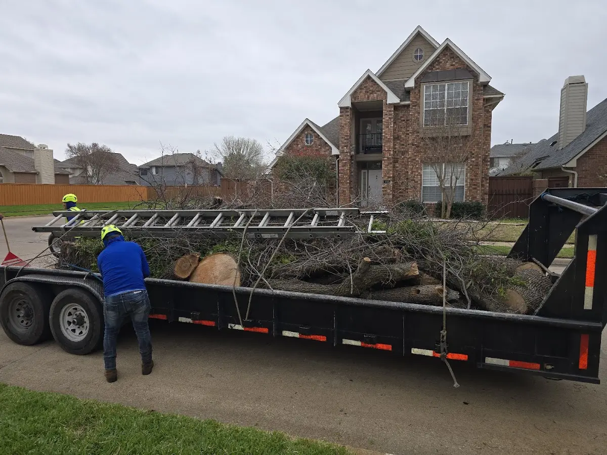 Expert Lot Clearing with proper safety equipment in Ganado